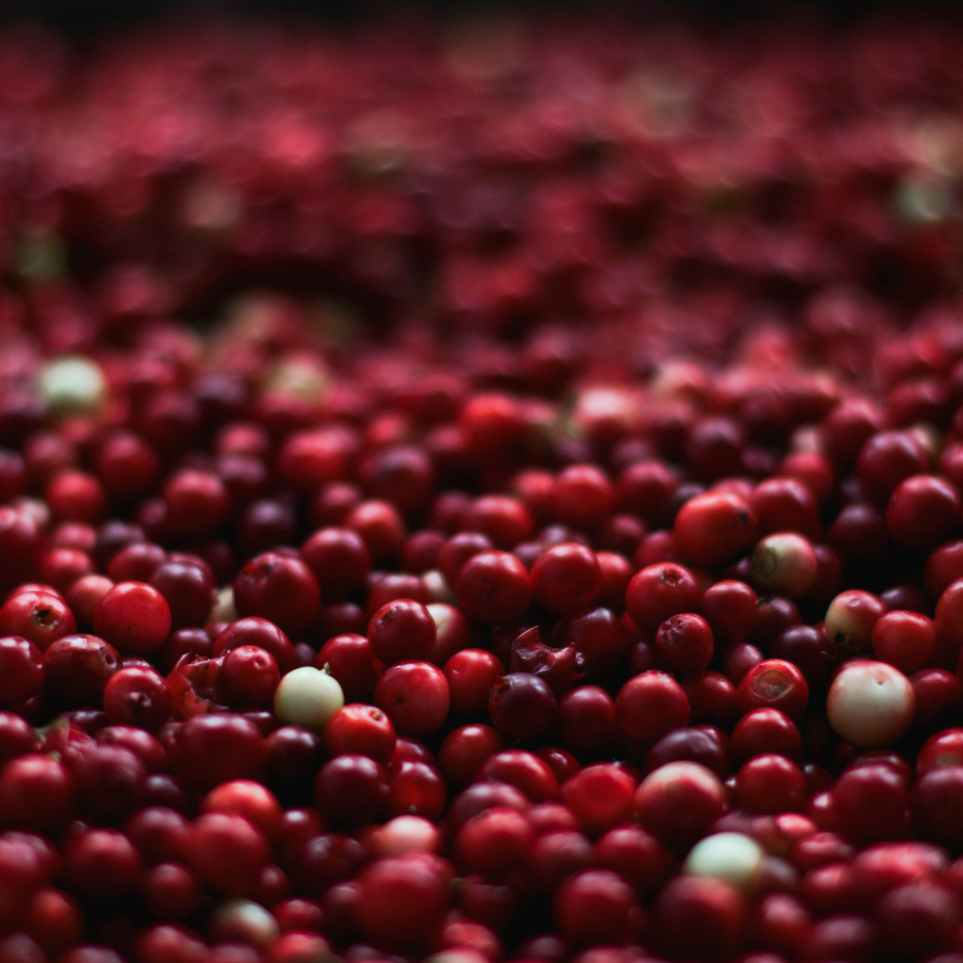 Au verger - pomme rouge + canneberge