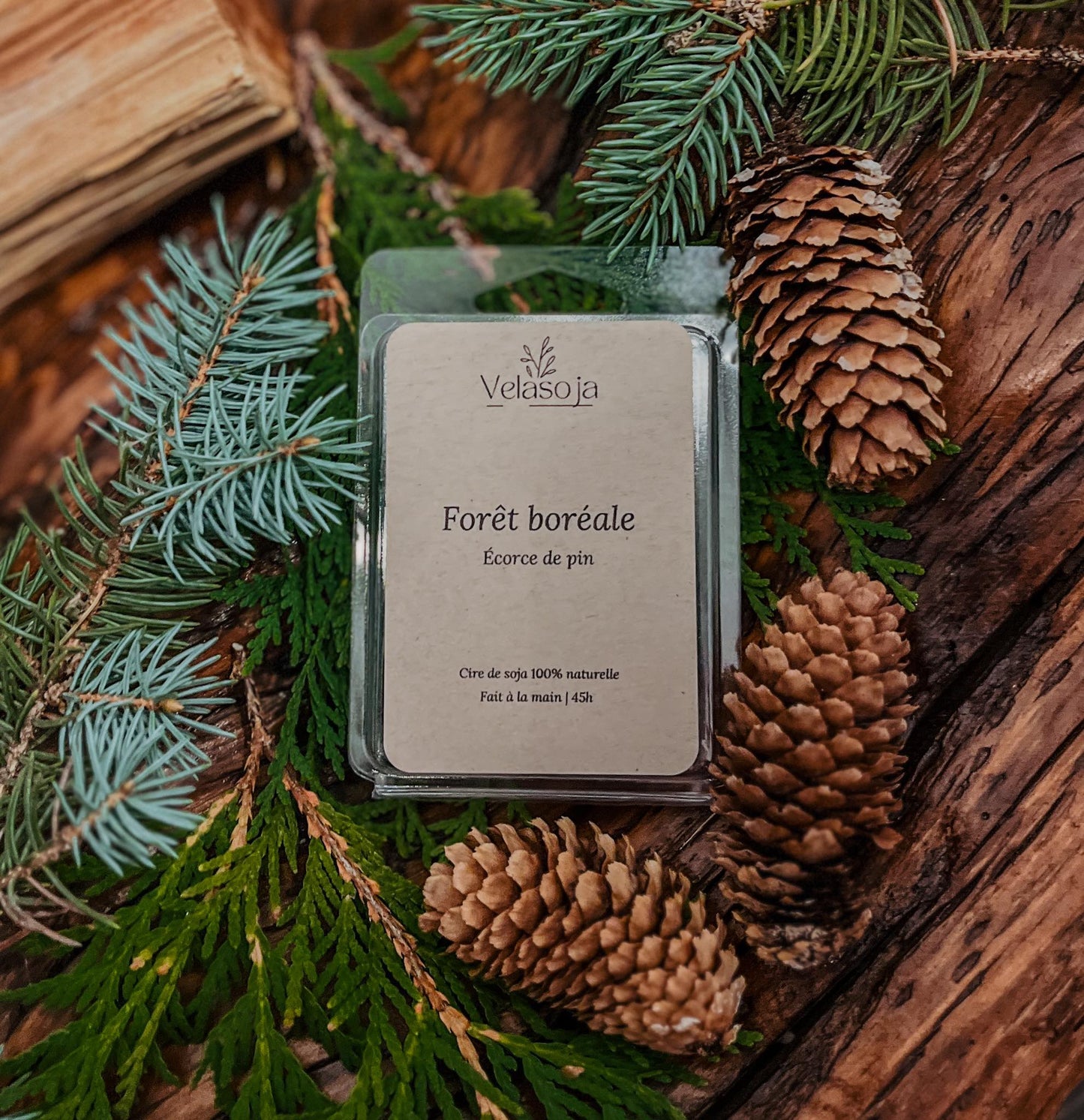 w Forêt boréale - écorce de pin