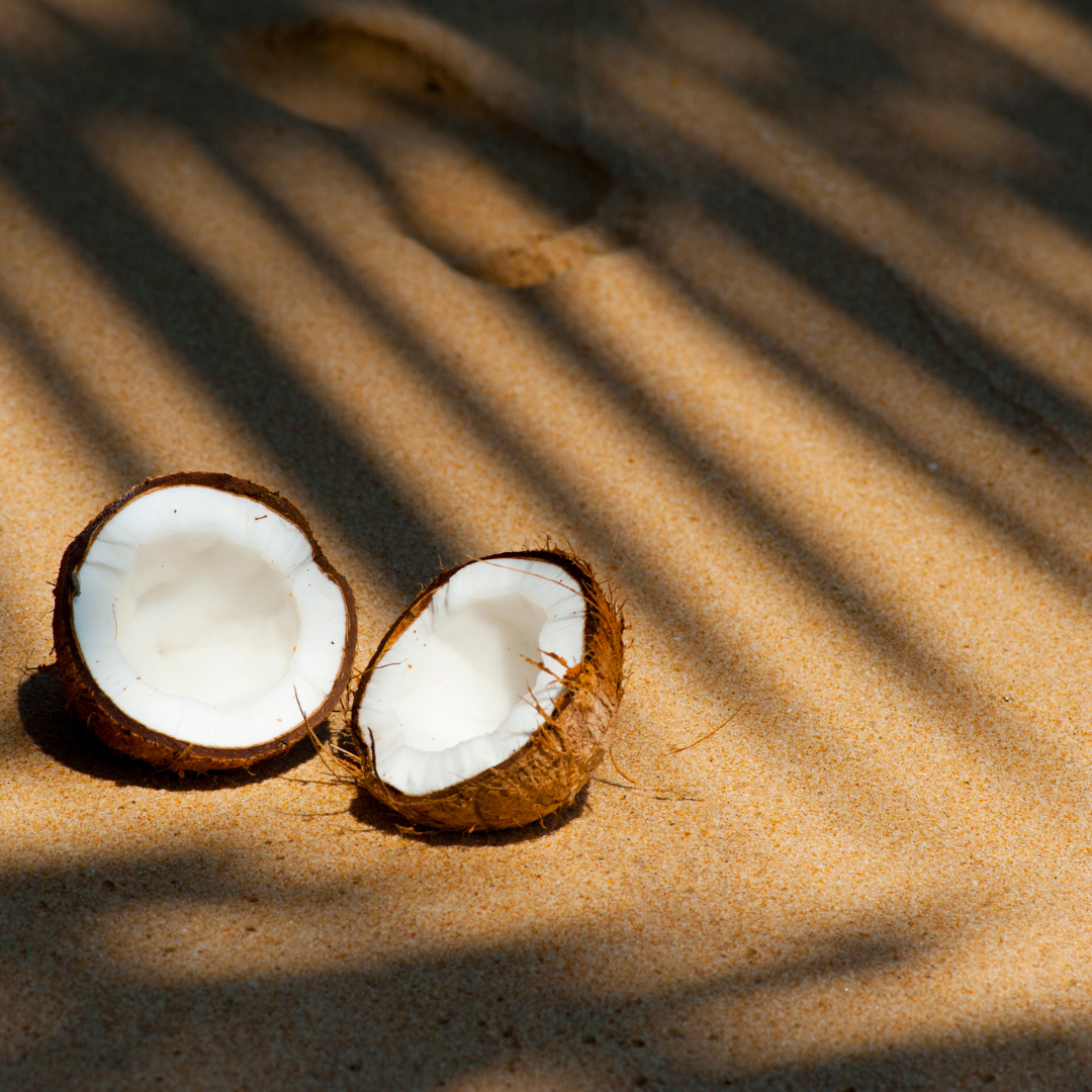 Mango colada - mangue & noix de coco
